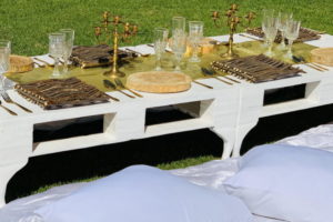 Picnic Setup